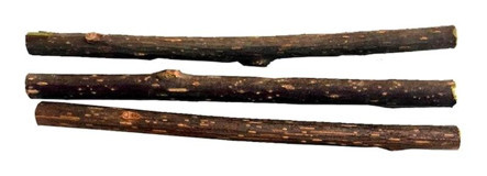 Matatabi Cats Çiğneme Yavru-Yetişkin Çubuk Kedi Oyuncağı