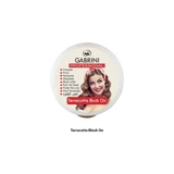 Gabrini Terracotta No:36 Işıltılı Toz Allık