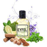 Eyfel M5 EDP Aromatik Erkek Parfüm 100 ml