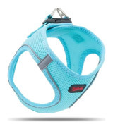 Tailpetz Air Mesh Harness S Ayarlanabilir Göğüs Köpek Tasması Mavi