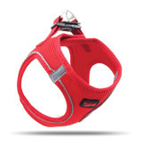 Tailpetz Air Mesh L Ayarlanabilir Göğüs H Tipi Köpek Tasması Kırmızı