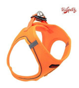 Tailpetz Air Mesh Harness 3XS Ayarlanabilir Göğüs H Tipi Köpek Tasması Turuncu