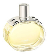 Hermes Barenia EDP Bergamot-Deri Erkek Parfüm 60 ml