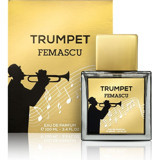 Femascu 6519 EDP Odunsu-Oryantal Erkek Parfüm 100 ml
