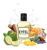 Eyfel M42 Baharatlı-Odunsu Erkek Parfüm 100 ml