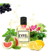 Eyfel M55 Odunsu-Oryantal Erkek Parfüm 100 ml