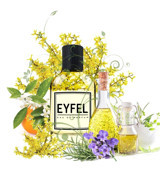 Eyfel M88 Çiçeksi-Odunsu Erkek Parfüm 100 ml