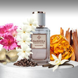 Qarnoza Dreams EDP Bergamot-Sandal Erkek Parfüm 50 ml