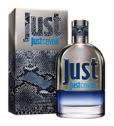 Just Cavalli EDT Meyveli-Odunsu Erkek Parfüm 50 ml