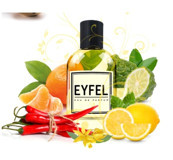 Eyfel U10 Ferah-Oryantal Erkek Parfüm 100 ml