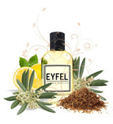 Eyfel M3 Çiçeksi-Odunsu Erkek Parfüm 100 ml