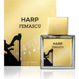 Femascu 6517 Harp EDP Meyveli-Odunsu Erkek Parfüm 100 ml
