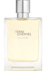 Hermes Terre D'Hermes EDP Meyveli-Odunsu Erkek Parfüm 100 ml
