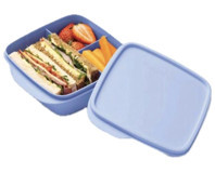 Tupperware Eco Bölmeli Dikdörtgen Plastik Saklama Kabı 550 ml