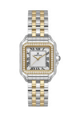 Daniel Klein DK102-DK.1.13619-2 30 mm Altın-Gri Çelik Kordon Analog Kadın Kol Saati