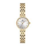 Daniel Klein DK.1.13728.12 30 mm Altın Çelik Kordon Analog Kadın Kol Saati