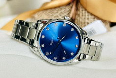 Ferrucci FC.14402FM.08 33 mm Gri Çelik Kordon Analog Kadın Kol Saati