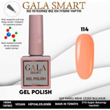 Gala Smart Klasik Seri 114 Pembe Parlak Kalıcı Oje