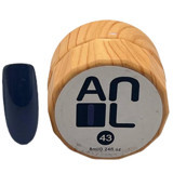 Anıl Professional Cosmetics 43 Lacivert Parlak Kalıcı Oje