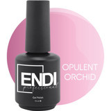 Endi Professional Orchid Bouquet Serisi Opulent Orchid Pembe Parlak Kalıcı Oje