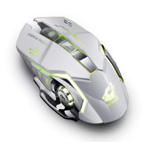 Fiauli WS214 RGB Sessiz Ergonomik Makrolu Kablosuz Gri Optik Gaming Mouse