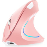 Huahai RGB Ergonomik Dikey Makrolu Kablosuz Pembe Optik Mouse
