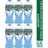 Palmolive Moments Lavanta-Sandal Ağacı Duş Jeli 6x500 ml