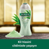 Palmolive Clay Aloe Vera Duş Jeli 500 ml