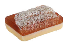 Anatolia Soap Ballı Katı Sabun 100 gr