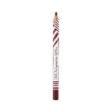 Pastel Long Lasting No:208 İnce Mat Dudak Kalemi Gül Kurusu