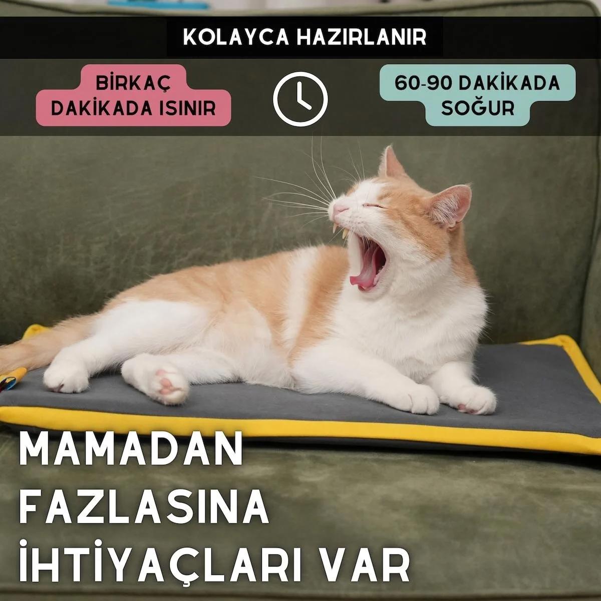 Pawdaz Yıkanabilir Tek Fonksiyonlu 60x40 cm Minder Kedi Yatağı Antrasit