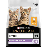 Pro Plan Kitten Tavuklu Tahılsız Yavru Kedi Maması 3 kg