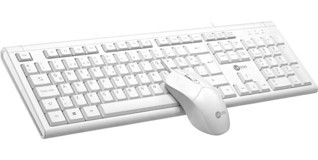 Lecoo Cm101 Beyaz Kablosuz Klavye Mouse Seti