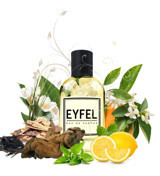 Eyfel Parfüm W201 EDP Çiçeksi-Meyveli-Oryantal Kadın Parfüm 50 ml