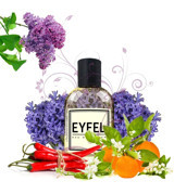 Eyfel Parfüm W231 EDP Çiçeksi-Odunsu-Oryantal Kadın Parfüm 50 ml