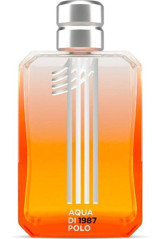 Aqua Di Polo 1987 No.1 EDP Amber-Aromatik-Misk Erkek Parfüm 100 ml