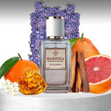 Qarnoza Friendly EDP Baharatlı-Çiçeksi-Odunsu Erkek Parfüm 50 ml