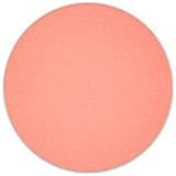 M.A.C Refill Far Shell Peach Toz Mat Göz Farı