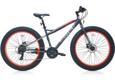 Carraro Buffalo 26 Jant 21 Vites Şehir / Tur Bisikleti Antrasit-Kırmızı