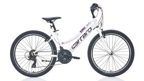 Carraro Speed 242 24 Jant 21 Vites Dağ Bisikleti Mavi-Pembe-Turkuaz