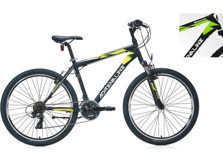 Bianchi Adrenaline 460H 21 Vites Dağ Bisikleti Beyaz-Siyah-Yeşil