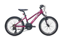 Carraro Force 201 20 Jant 21 Vites Dağ Bisikleti Mor-Pembe