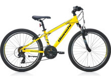 Bianchi Aspid 24 Jant 21 Vites Dağ Bisikleti Gri-Sarı-Siyah