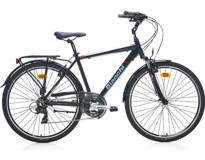 Bianchi Travel 504 28 Jant 21 Vites Şehir / Tur Bisikleti Gri-Kırmızı-Siyah
