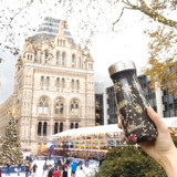 S'Well Bottle Antique Belle Traveler Paslanmaz Çelik 470 ml Outdoor Matara Termos Çok Renkli