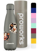 Proworks Paslanmaz Çelik 750 ml Outdoor Matara Termos Pembe