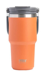 Tyeso Daily Need Paslanmaz Çelik 600 ml Outdoor Matara Termos Turuncu
