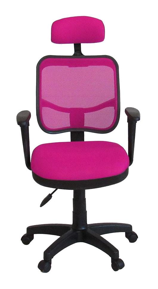Türksit 817 Başlıklı Kolçaklı Dönerli Pembe Çalışma Sandalyesi