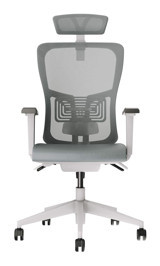 Decofis Lumbar Plus Başlıklı Kolçaklı Dönerli Gri Çalışma Sandalyesi