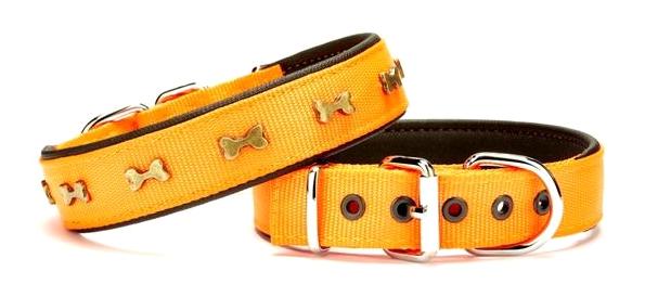 Doggie 3x55 cm Ayarlanabilir Boyun Köpek Tasması Turuncu